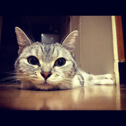 [Avatar]