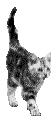 [Avatar]