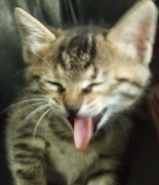 [Avatar]