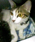 [Avatar]