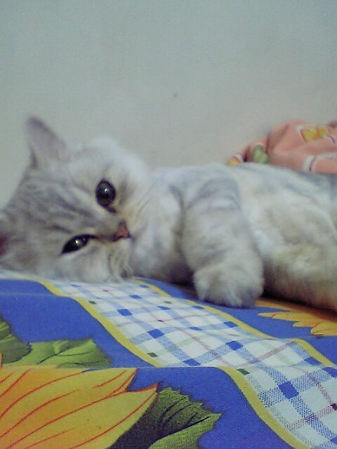 [Avatar]