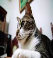 [Avatar]