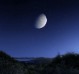 [Avatar]