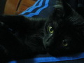 [Avatar]