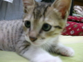 [Avatar]