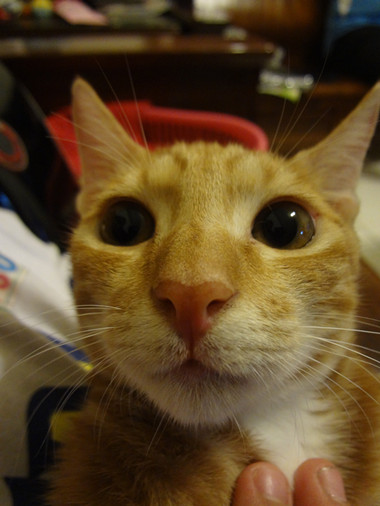 [Avatar]