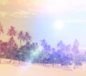 [Avatar]