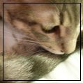 [Avatar]