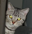 [Avatar]