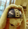 [Avatar]