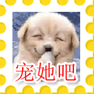 [Avatar]