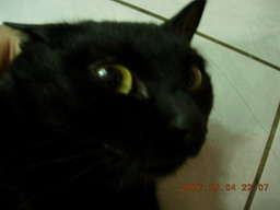 [Avatar]