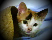 [Avatar]