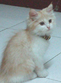 [Avatar]