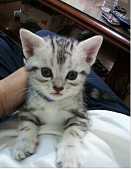 [Avatar]
