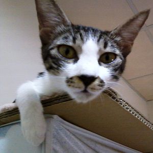 [Avatar]